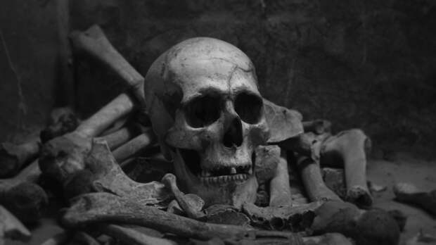 Фото: Katherine Kromberg / Unsplash