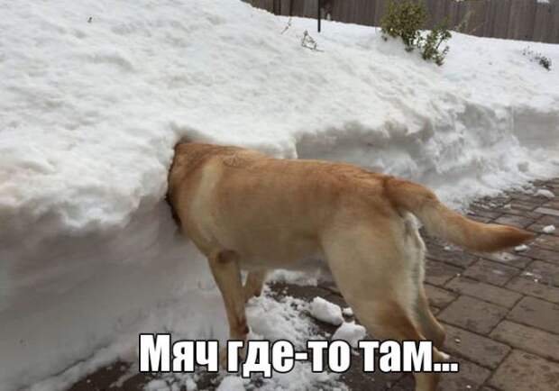 Похожее изображение