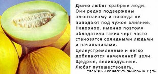 дыня (570x267, 100Kb)