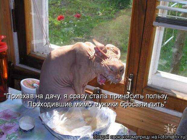 Мысли вслух :)