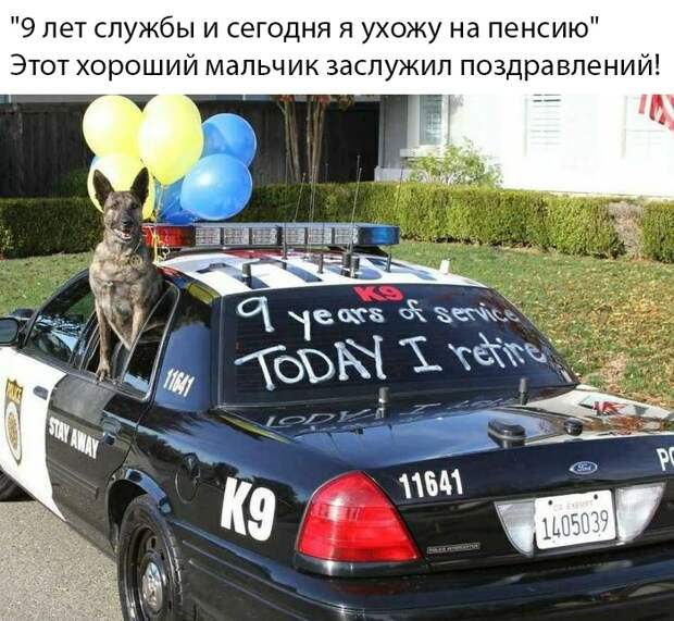Подборка картинок. Вечерний выпуск (31 фото)