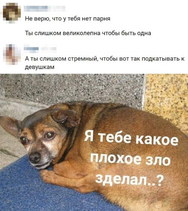 www.vsyako.net