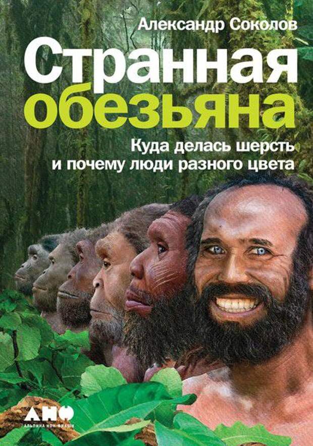 Умные книги для осенних вечеров