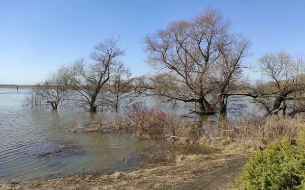 WhatsApp Image 2022-04-04 at 10.39.17 (18).jpg WhatsApp Image 2022-04-04 at 10.39.17 (18).jpg