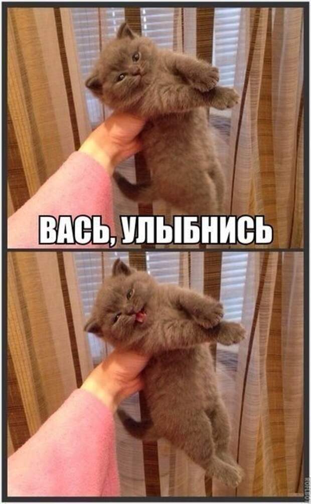 _uvHEomm1lQ
