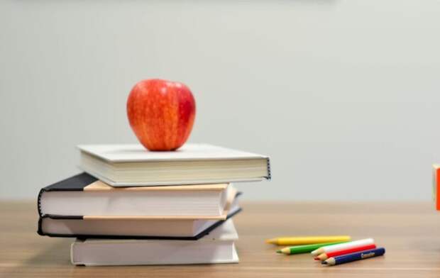 Педагоги Костромской области отмечают снижение бюрократической нагрузки