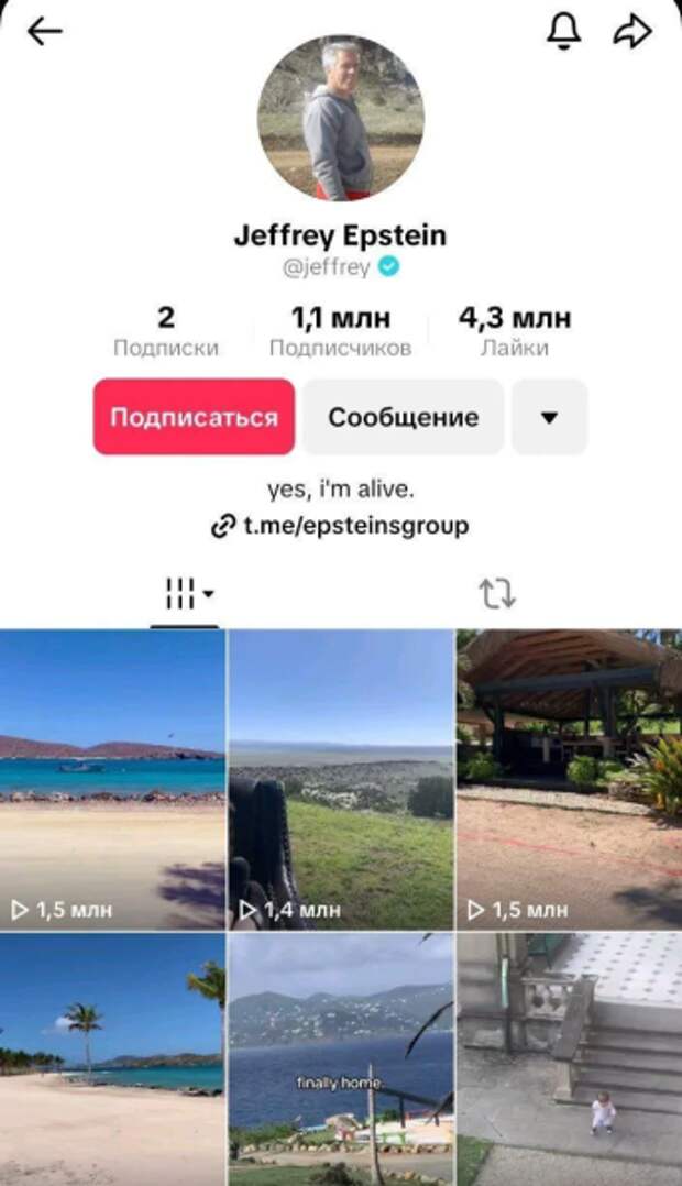 В TikTok внезапно появился верифицированный аккаунт Джеффри Эпштейна