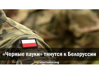 «Черные пауки» тянутся к Белоруссии