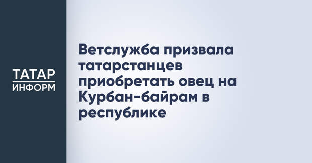 Ветслужба призвала татарстанцев приобретать овец на Курбан-байрам в республике
