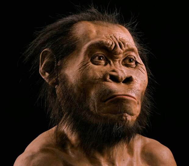 Загадочные Homo naledi - наши предки или двоюродные пращуры?