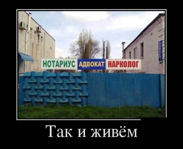 Демотиваторы