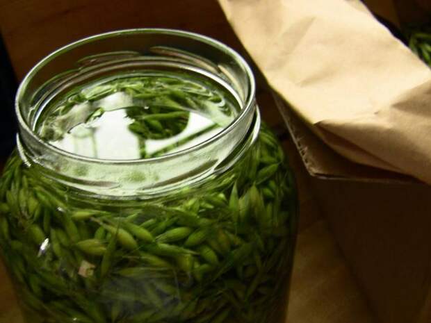 Травы при пиелонефрите: лечебные свойства, правила заваривания, особенности приема