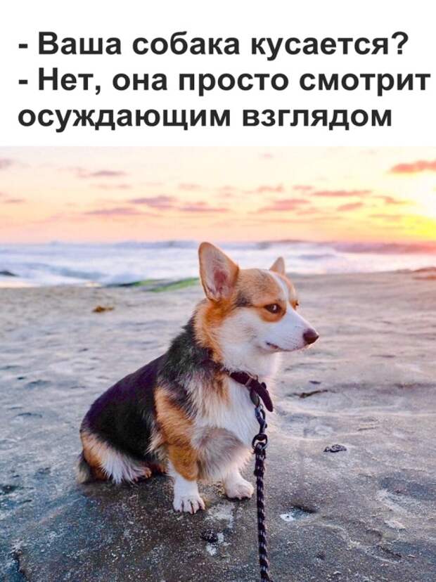 www.vsyako.net