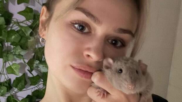 «Идеальный компаньон»: какие условия нужно создать для домашней крысы