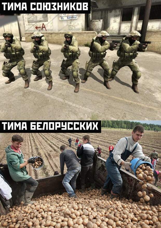 www.vsyako.net