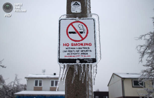 Канада. Брамптон, Онтарио. 21 декабря. Дорожный знак во льду. (Ryan M. Gilchrist)