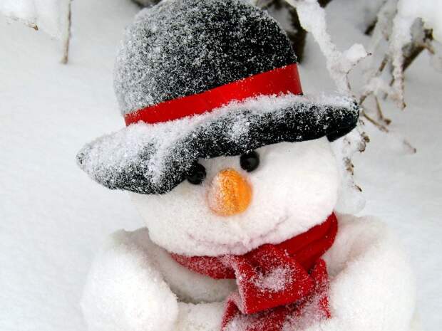 Снеговик/pixabay.com
