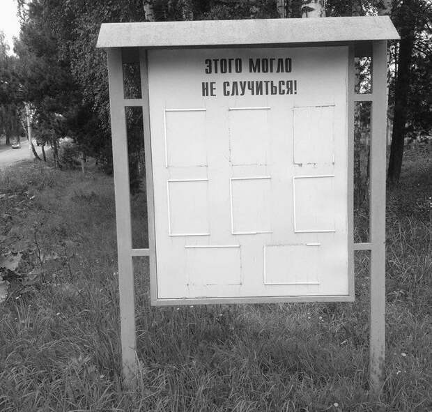 Прикольные картинки Прикольные картинки