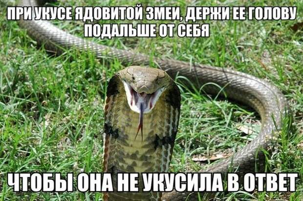 Прикольные картинки Прикольные картинки