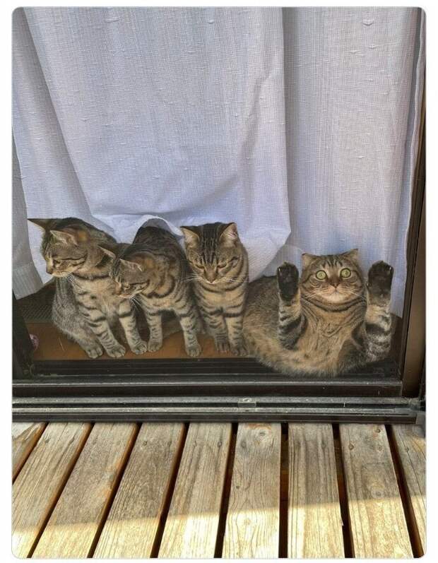 "Нет, я не клон! Я другой!"