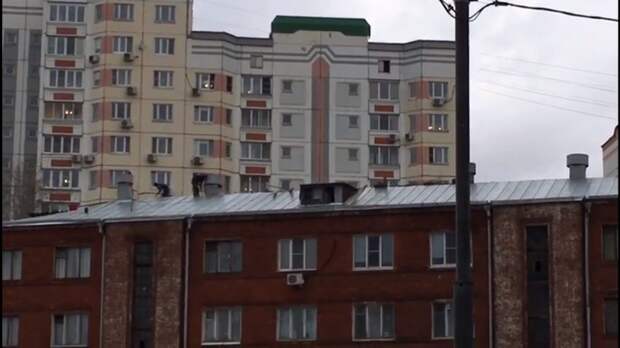Фото: управа Войковского района