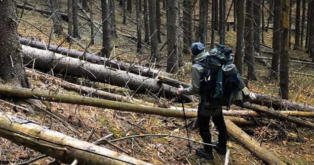 Белоруссия стала самым популярным направлением для побега мужчин с Украины