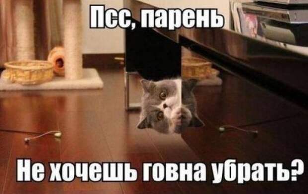 Новые фото-приколы для вас (46 шт)