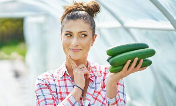 Структурированная вода — это сказка: что действительно полезно в огурцах