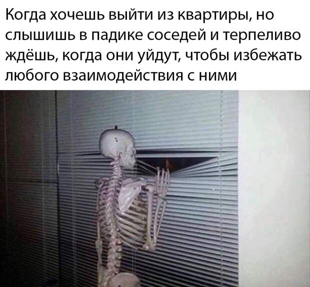 www.vsyako.net