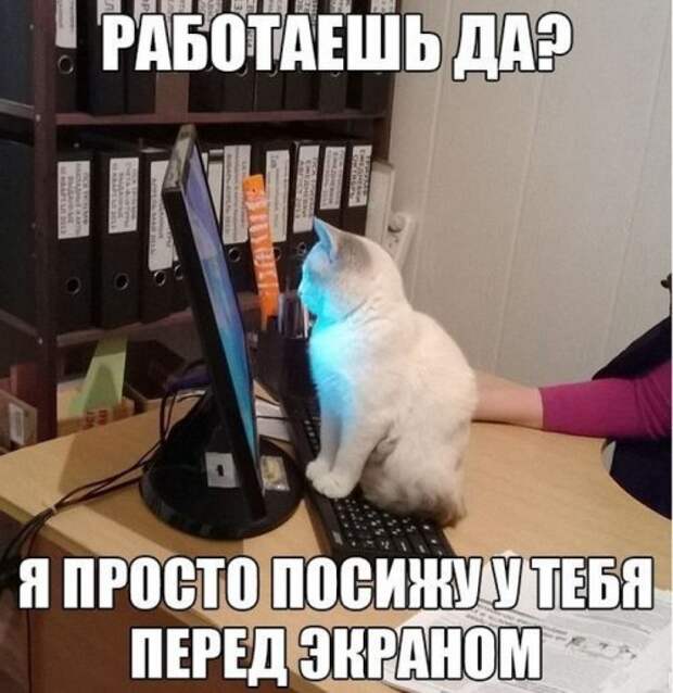 Прикольные картинки (45 шт)