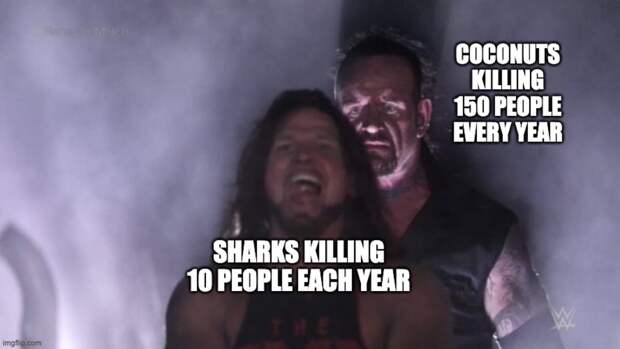 funny meme about sharks vs coconuts
