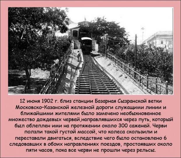 Интересные факты (20 фото)