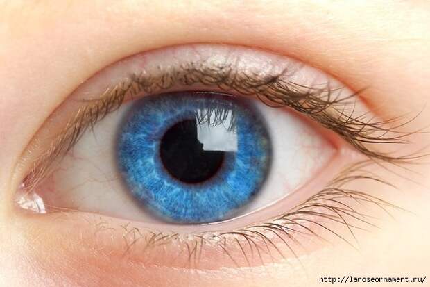 rxKtgrCizaY (604x403, 136Kb)