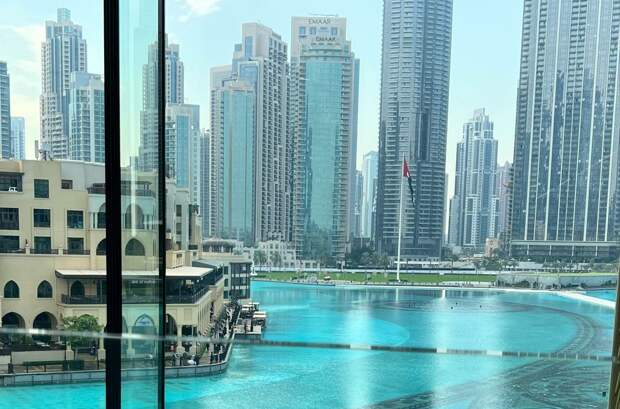 Убитую в Дубае стюардессу из Петербурга залили зеленкой и лишили волос