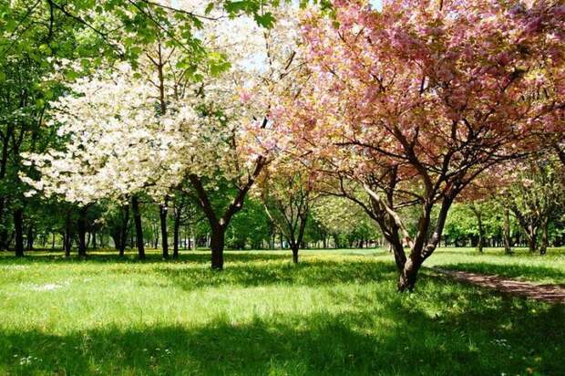3303834_spring_time_17 (700x465, 144Kb)