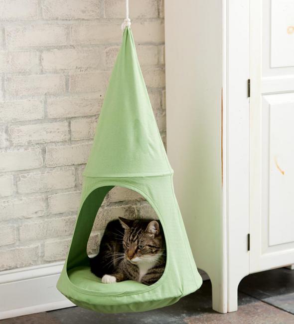 Котодизайн