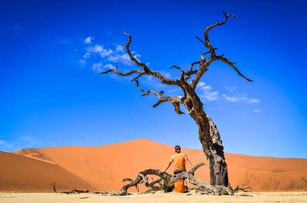 Сюрреалистические пейзажи Мертвой долины в Намибии. Фото