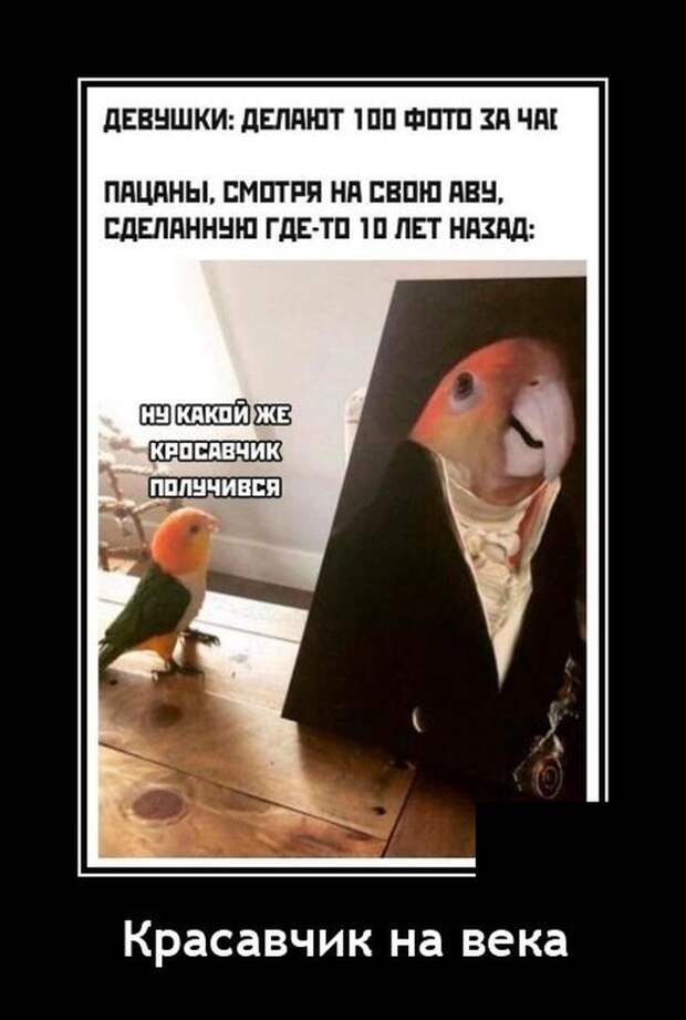 Демотиваторы 10 сентября 2021 года