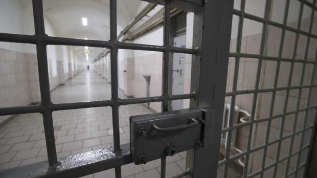 Носочная банда обнесла шесть магазинов с табаком и телефонами в Петербурге