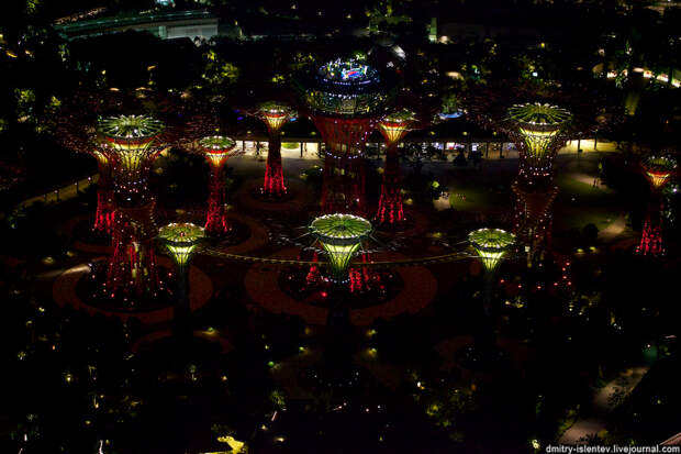 Сады у залива (Gardens by the Bay)