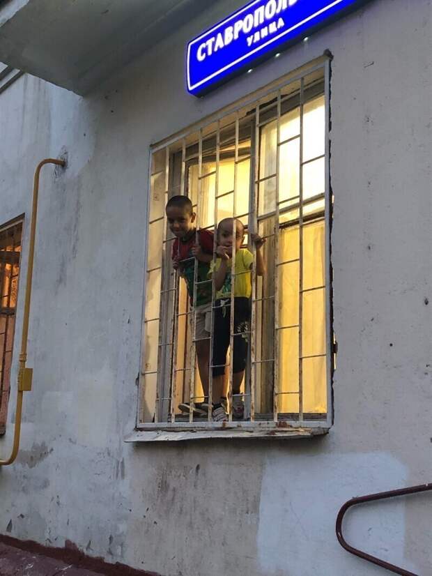 Под присмотром мамы гуляют Под присмотром мамы гуляют