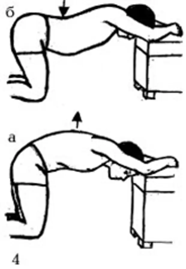 Упражнения для спины при остеохондрозе позвоночника. Остеохондроз поясничного отдела позвоночника гимнастика. Комплекс упражнений для грудного отдела позвоночника. Упражнения для поясничного отдела при остеохондрозе. Упражнения для грудного отдела позвоночника при остеохондрозе.