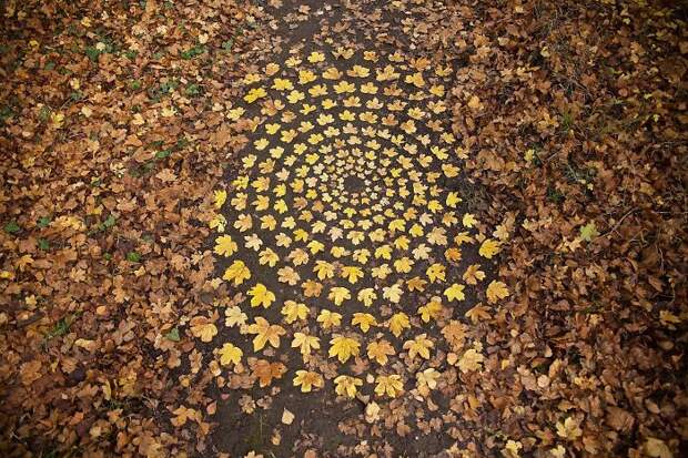 James-Brunt-Natural-Materials-Land-Art-England