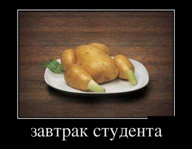 Демотиваторы (30 фото)
