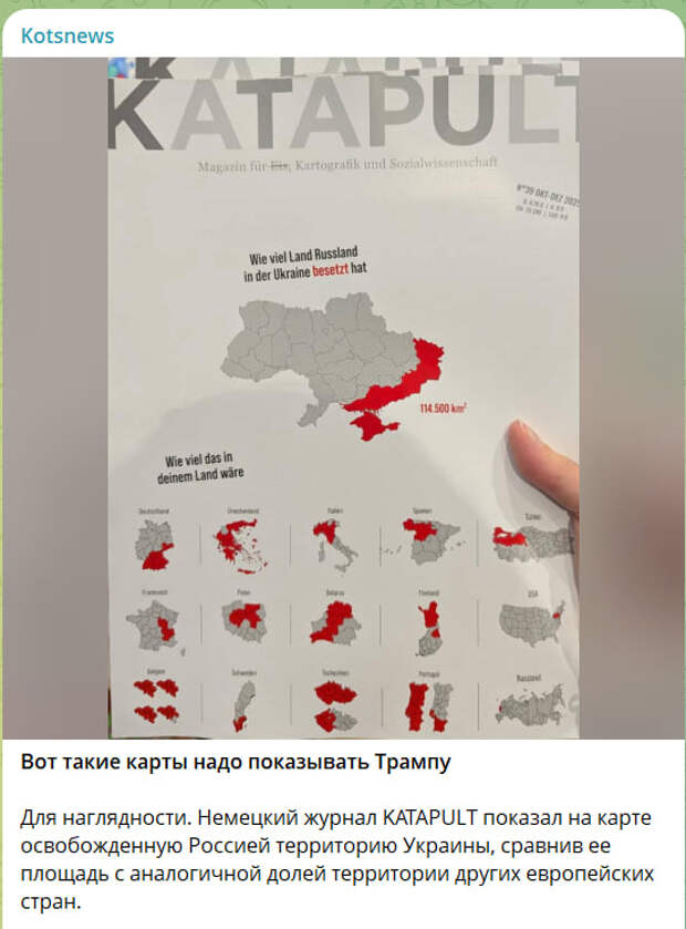 Скриншот с канала Kotsnews Скриншот с канала Kotsnews