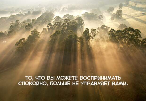 Картинка №24