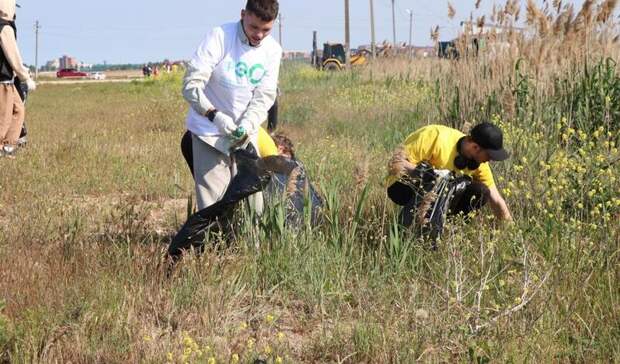РЭО нашел 1 тысячу добровольцев для участия в субботнике «Зеленый десант»