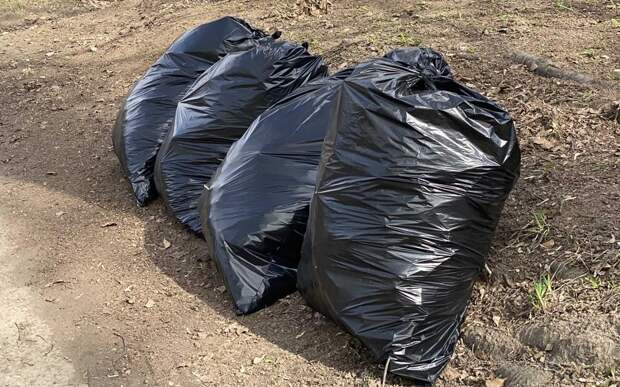 Спасского чиновника привлекут к ответственности за свалку у мусорки