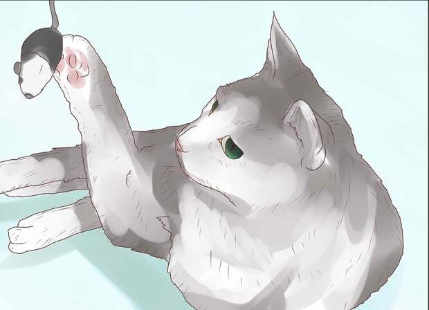 Кошке нужны игрушки