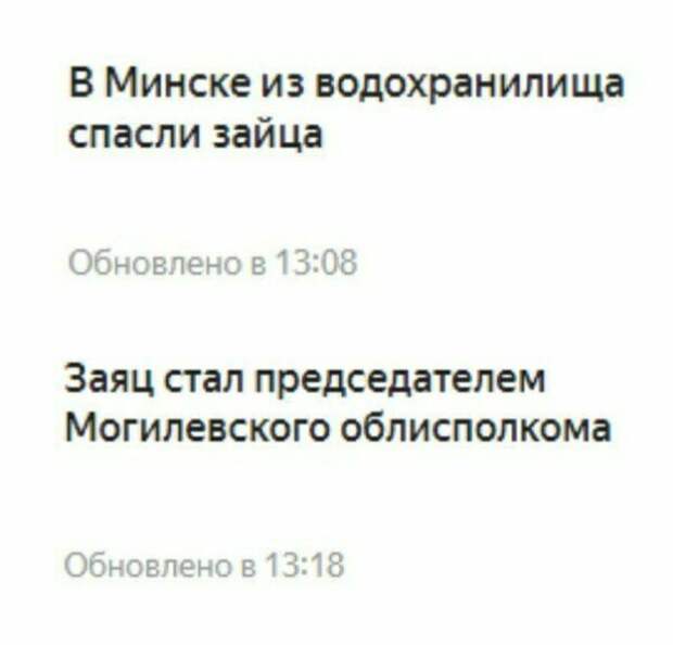 Заяц - сила! журналисты, заголовки, маразмы, непонтяное, новости, прикол, странное, фейк, юмор